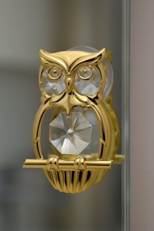 Luxe 24 k Vergulde Gouden Kristallen Uil – Decoratie met Zuignap